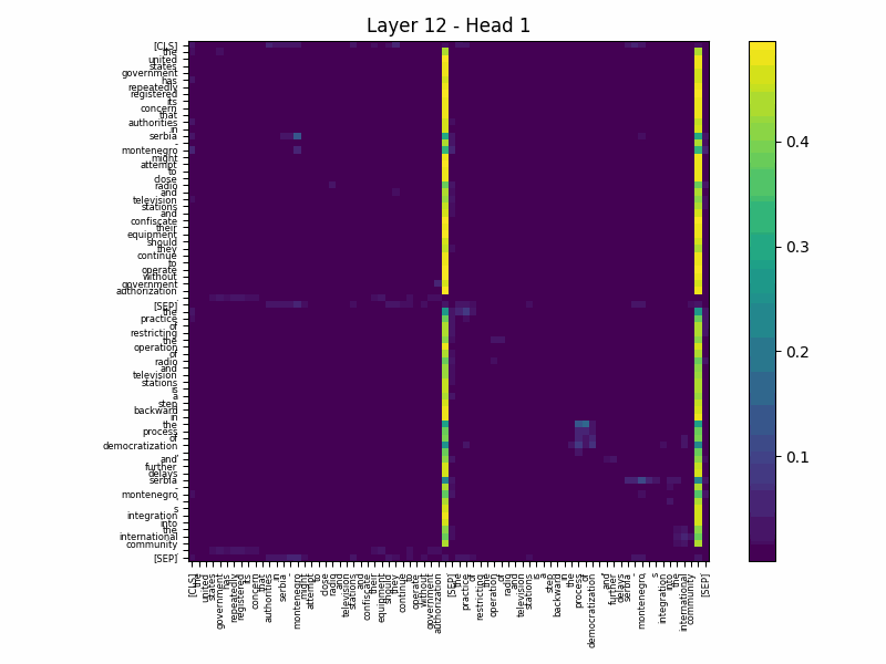 Attention Visualization